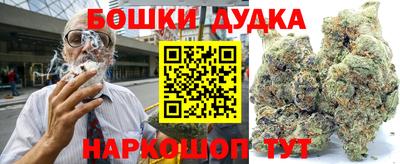 шишки Балашиха