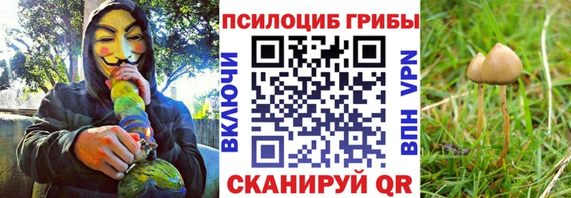 мега ссылка Владивосток Галлюциногенные грибы GOLDEN TEACHER купить наркотик