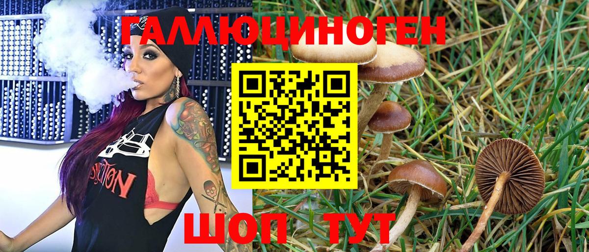 Владивосток  Галлюциногенные грибы GOLDEN TEACHER  Вход с VPN 