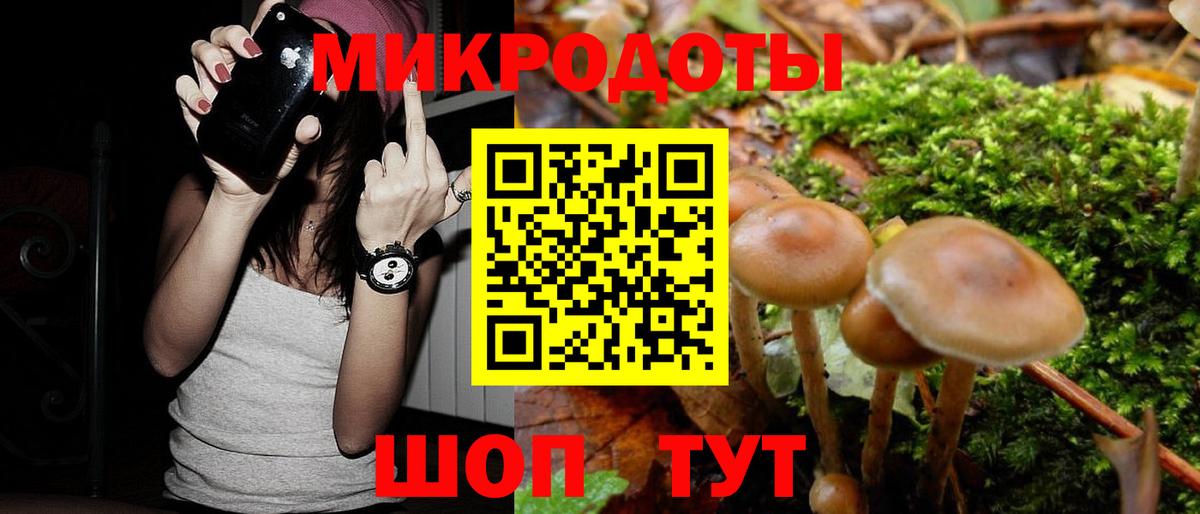 Галлюциногенные грибы ЛСД  Владивосток  Галлюциногенные грибы прущие грибы 