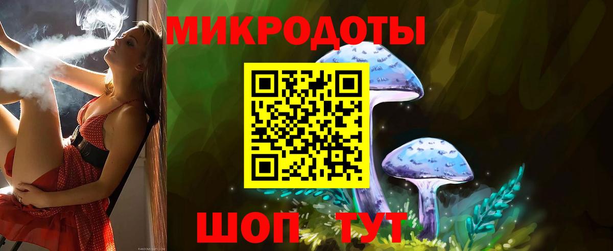 Псилоцибиновые грибы GOLDEN TEACHER Владивосток